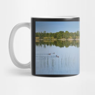 Ducks on a Lake Mug